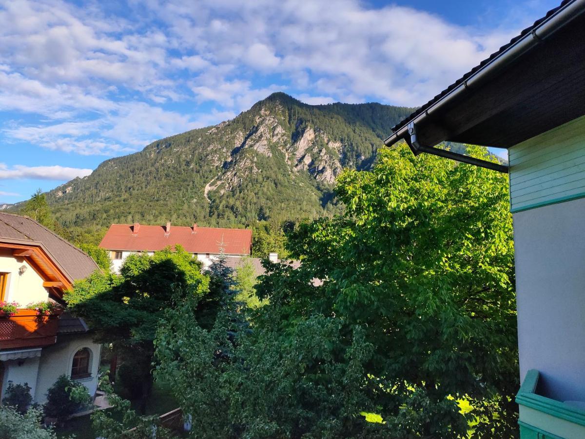 The House Mojstrana